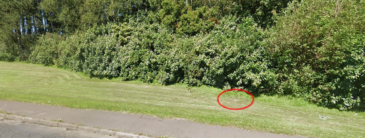 Google Maps 2024