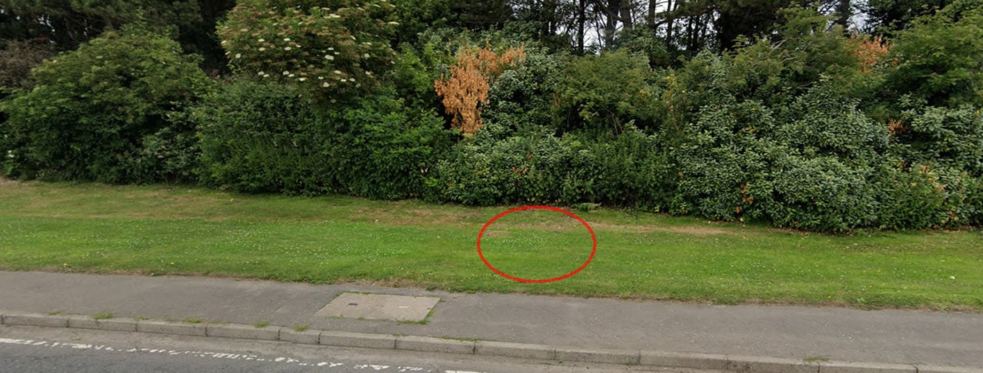 Google Maps 2021