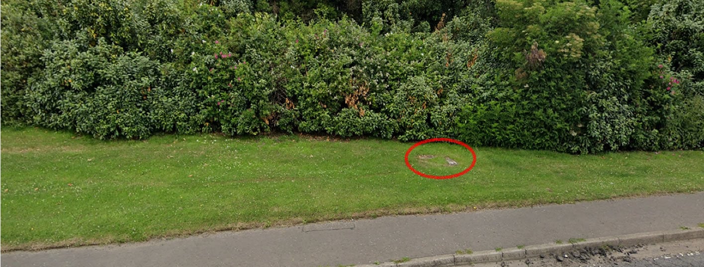 Google Maps 2021