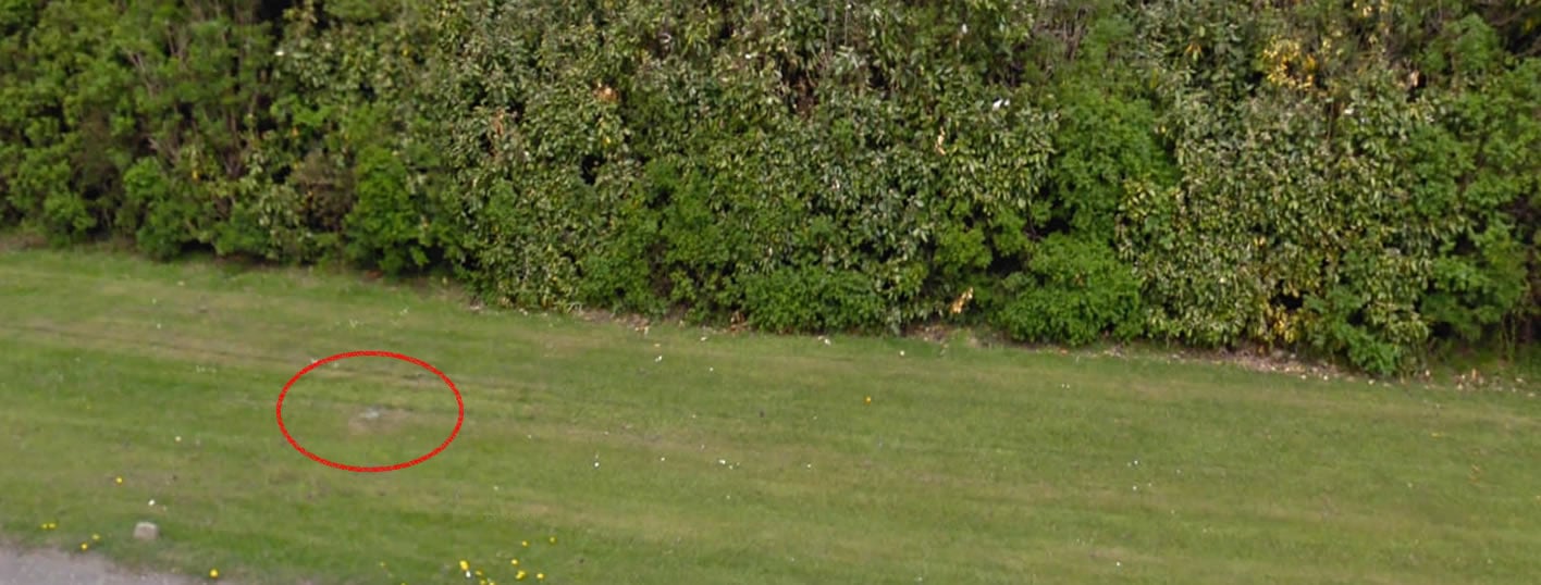 Google Maps 2010