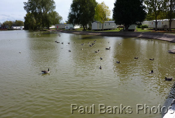 Paul Banks Photos - Highway Man Lake