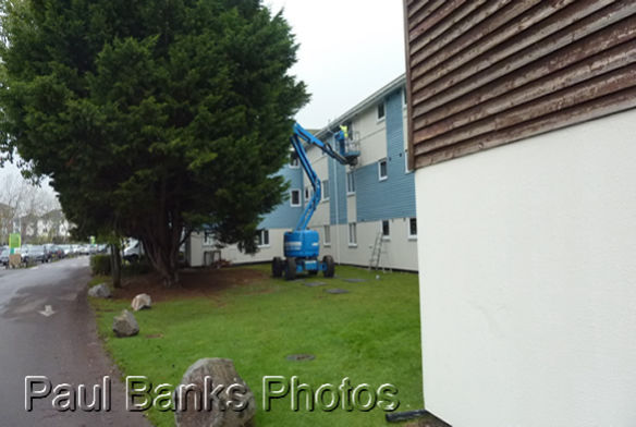 Paul Photos - Plantation Quay upgrade