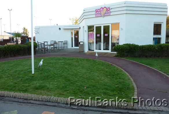 Paul Banks Photos - Butlins Scoop shop