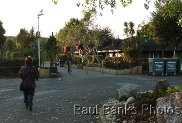 Paul Banks Photos - Butlins Minehead accommedation