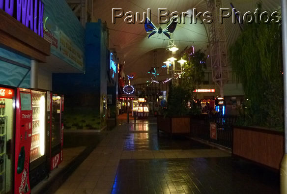 Paul Banks Photos - Under the pavilion