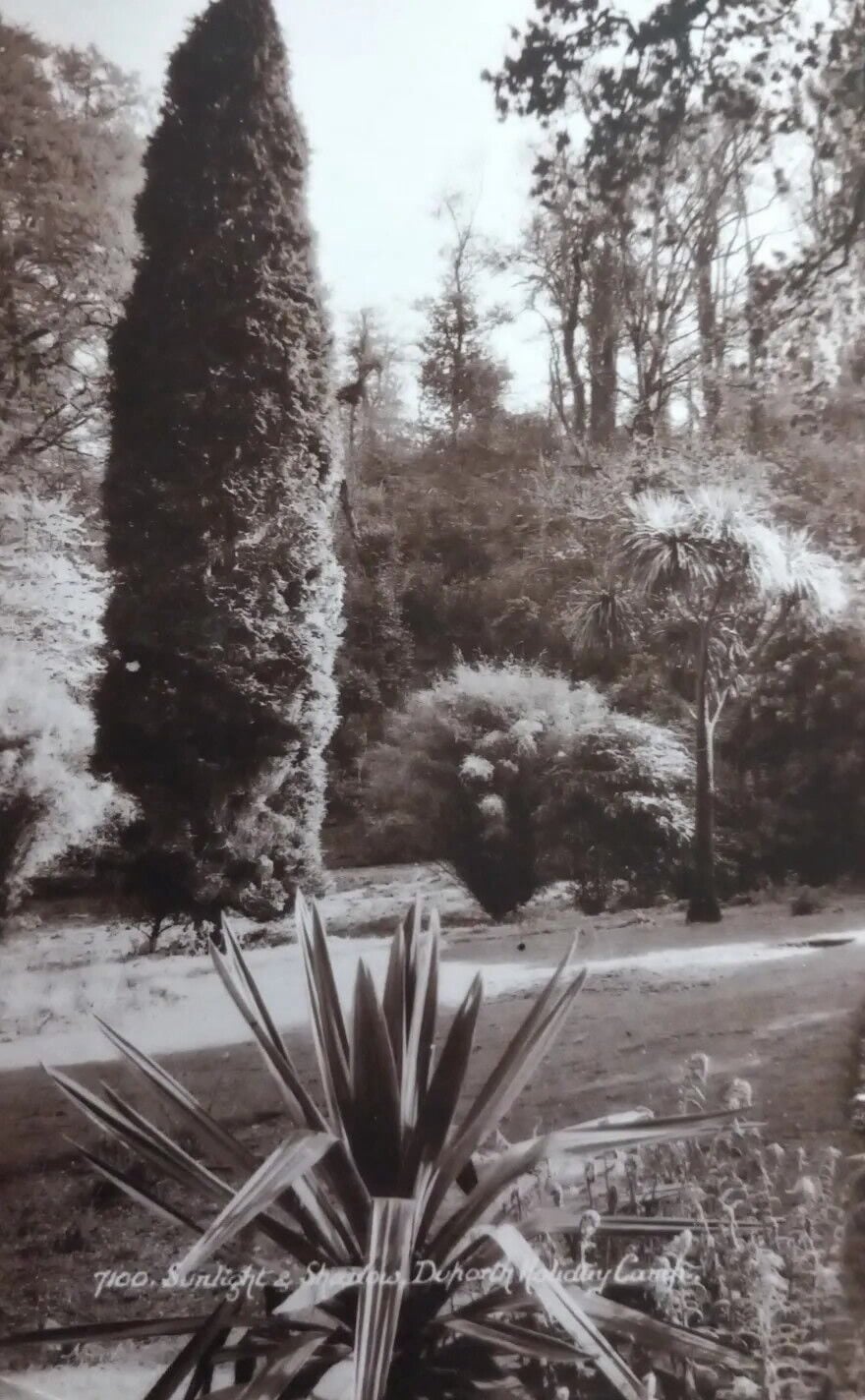 Duporth Holiday Village