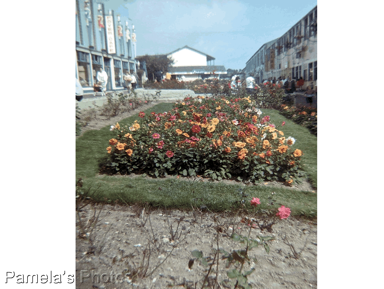 Pamela's Untold Butlins Story