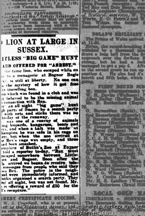 Belfast Telegraph - Wednesday 05 July 1933