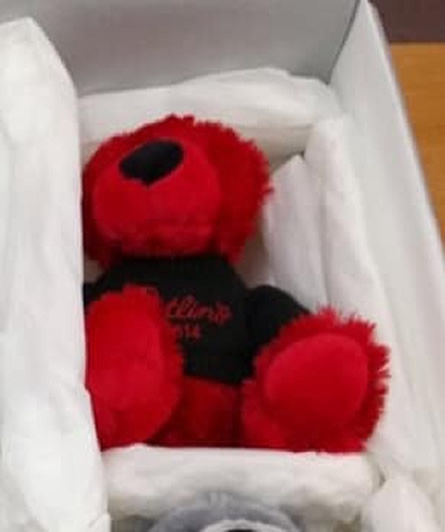 2014 Binkie Bear - Butlins Memorabilia